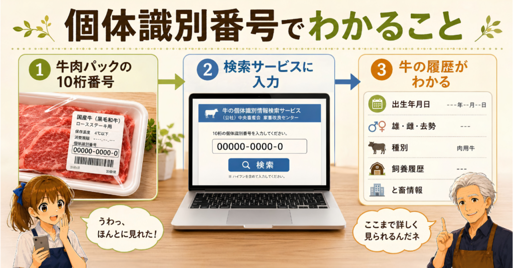 牛肉パックの10桁の個体識別番号を家畜改良センターの検索サービスに入力すると、出生年月日、種別、飼養履歴、と畜情報などが確認できる流れを示した図解