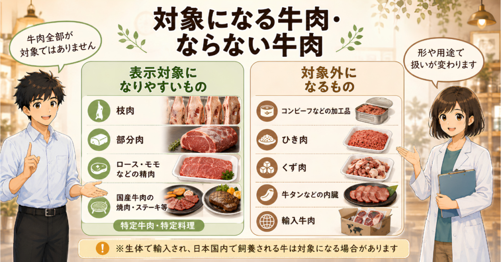 牛トレーサビリティ法で個体識別番号の表示対象になる特定牛肉と、加工品、ひき肉、くず肉、内臓、輸入牛肉など対象外となるものを整理した図解